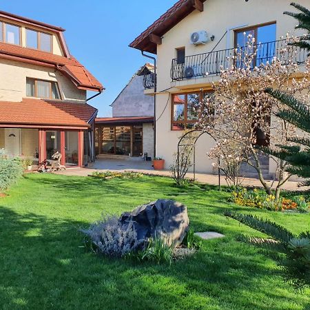 Casa Irinella Bed & Breakfast Satu Mare Ngoại thất bức ảnh