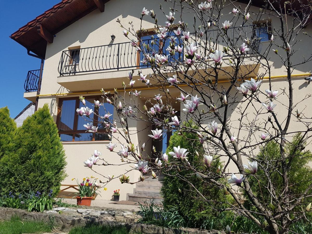 Casa Irinella Bed & Breakfast Satu Mare Ngoại thất bức ảnh