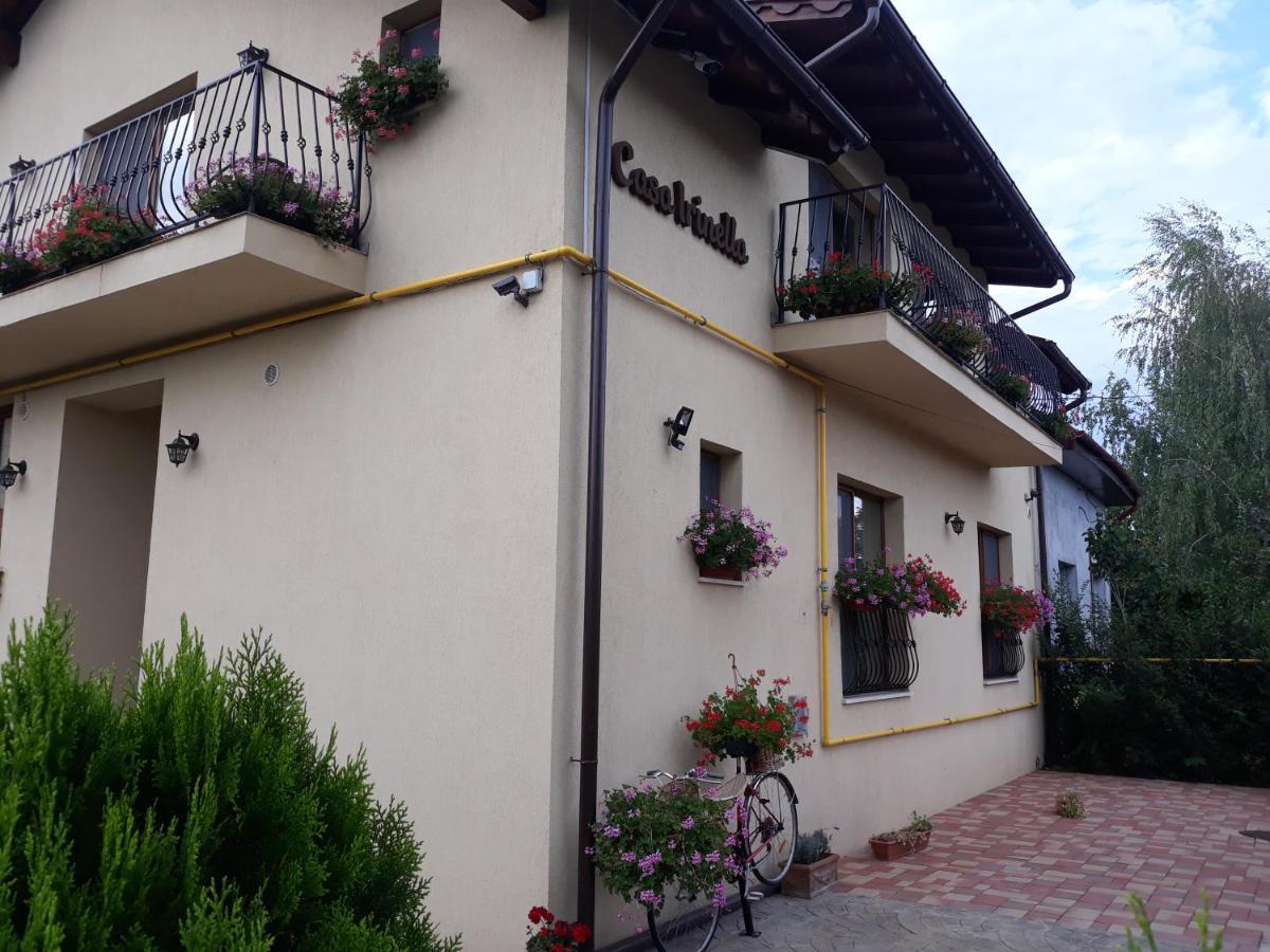 Casa Irinella Bed & Breakfast Satu Mare Ngoại thất bức ảnh