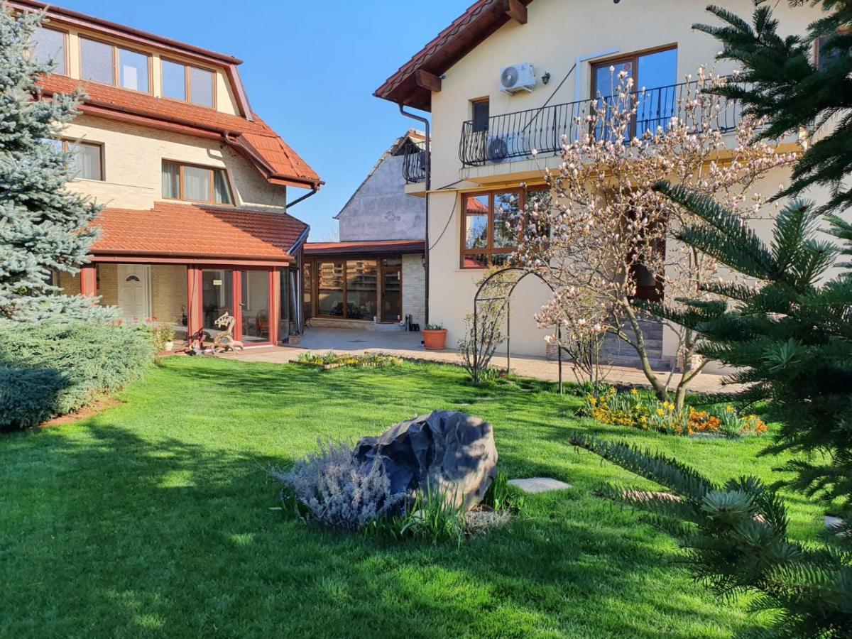Casa Irinella Bed & Breakfast Satu Mare Ngoại thất bức ảnh